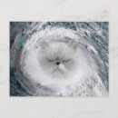 Search for angry cat postcards Kitty