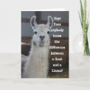 Search for llama funny cards Humour