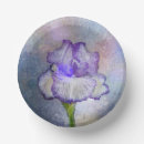Search for photo bowls Purple