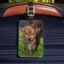 Search for herding travel accessories Cute