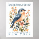 Search for bluebird watercolor posters Vintage