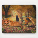 Search for kitten pumpkin mousepads Fall