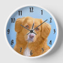 Search for duck clocks Toller