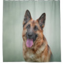 Search for german shepherd dog shower curtains Animals