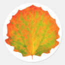Search for aspen leaf stickers Yellow