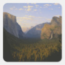 Search for mountain range stickers Forest