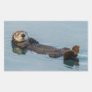 Search for sea otter stickers California