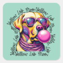 Search for lab stickers Pink