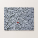 Search for cardinal puzzles Snow