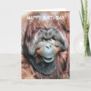 Search for orangutan cards Animals