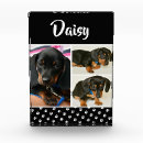 Search for dog memorial photo display Modern