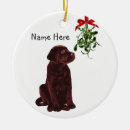 Search for labrador retriever memorial Chocolate lab