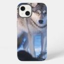 Search for wolf cases Usa
