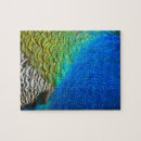 Search for feather puzzles Blue