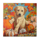 Search for labrador tiles Pets