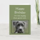 Search for dog sayings cards Over the hill