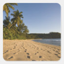 Search for seychelles stickers Sea