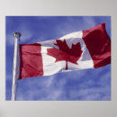 Search for canadian flag posters Leaf