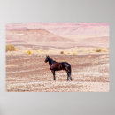 Search for mustang horses posters Nature