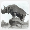 Search for rhinoceros stickers Horn
