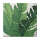 Search for tropical tiles Plant