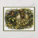Search for doyle postcards Fantasy