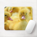 Search for ducklings electronics Bird