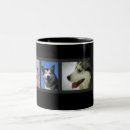 Search for sled mugs Huskies