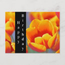 Search for happy birthday tulips postcards Yellow