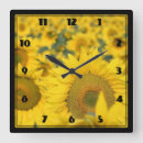 Search for sunflower clocks Bright yellow