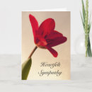 Search for elegant sympathy cards Grief