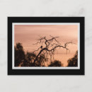 Search for halloween tree postcards Gothic