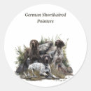 Search for german pointer stickers Gsp