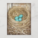 Search for robins egg blue postcards Nest