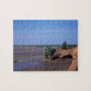 Search for nova puzzles Bay