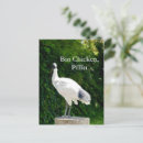 Search for bin postcards Funny