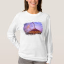 Search for ferris wheels tshirts Carnival