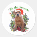Search for labrador retriever stickers Black lab