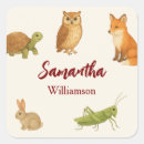 Search for animal friends stickers Forest