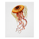 Search for vintage jellyfish posters Marine