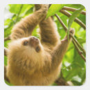Search for up close stickers Nature