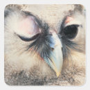 Search for owls head stickers Wildlife