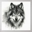 Search for timber wolves posters Wolf