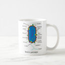 Search for bacteria mugs Lab