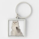 Search for persian cat key rings Cats