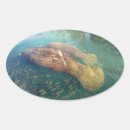 Search for oval photo stickers Wild