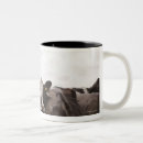 Search for grazing cows mugs Agriculture