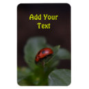Search for ladybug magnets Flower