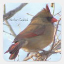 Search for cardinals stickers Northern cardinal