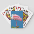 Search for bird playing cards Wildlife
